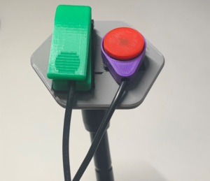 mounted switches